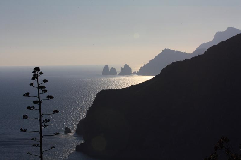 141-Jeranto, 3 marzo 2013.JPG